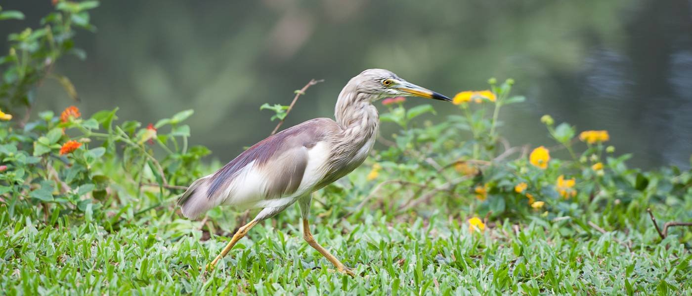Kerala Backwater Tour